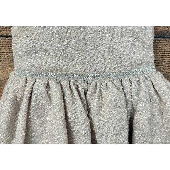 BLUEBERI BOULEVARD Little Girls Sz 4T Sleeveless Bubble Dress Silver NWT Holiday - Picture 3 of 12